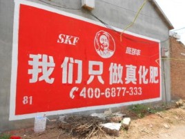  平利刷墙广告”蕴含了时代命题
