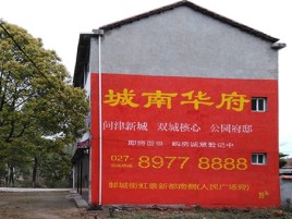  平利百分之90的人都不了解的农村墙体广告