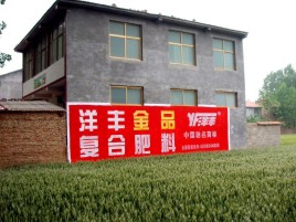  平利如何让墙体广告展现最大化效果