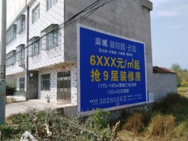  平利墙体广告质量分析