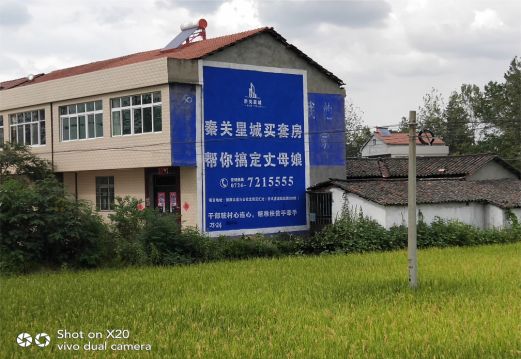 平利决定墙体广告价格的因素有哪些?